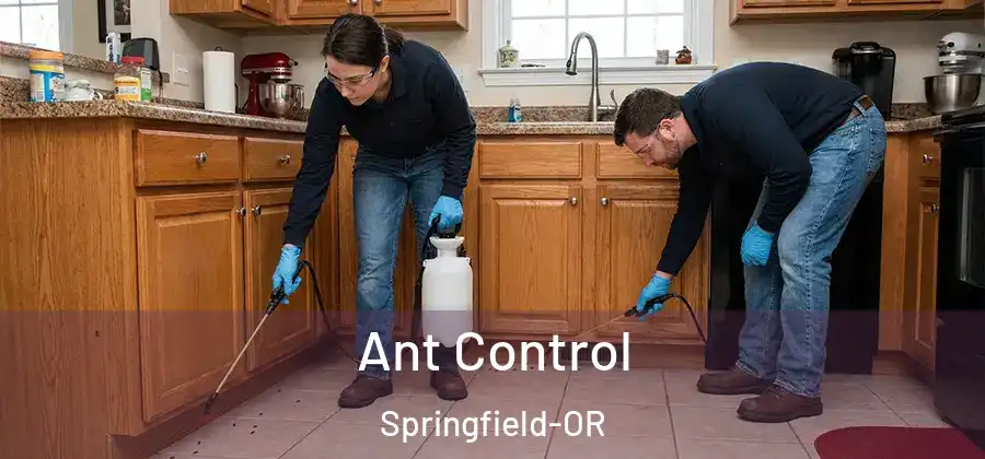 Ant Control Springfield-OR
