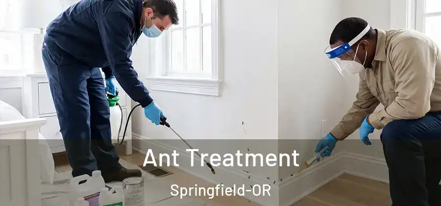 Ant Treatment Springfield-OR
