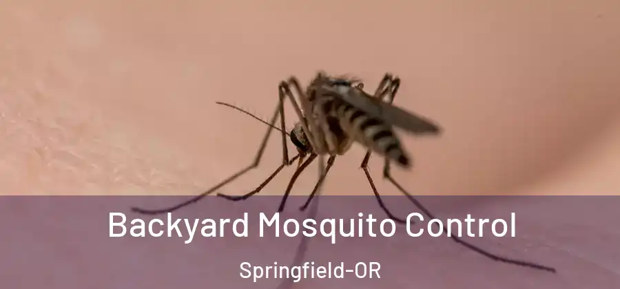 Backyard Mosquito Control Springfield-OR