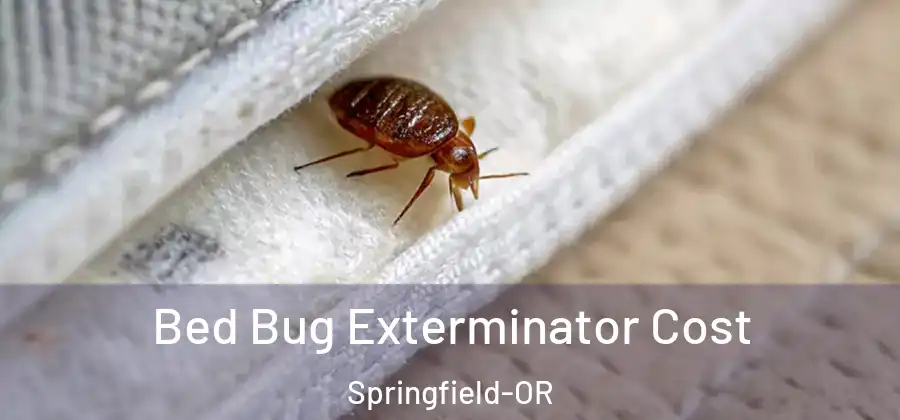 Bed Bug Exterminator Cost Springfield-OR