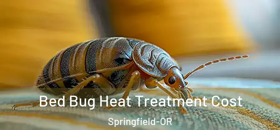  Bed Bug Heat Treatment Cost Springfield-OR