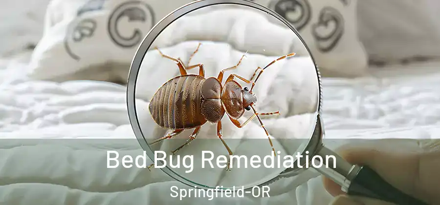 Bed Bug Remediation Springfield-OR