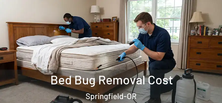 Bed Bug Removal Cost Springfield-OR