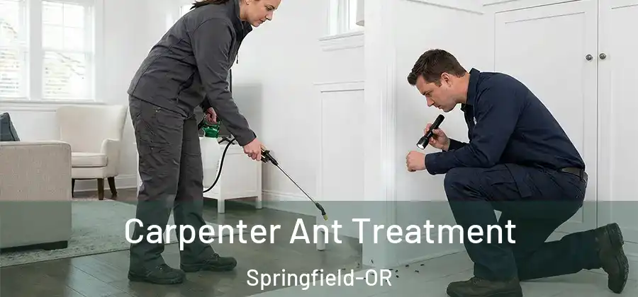 Carpenter Ant Treatment Springfield-OR