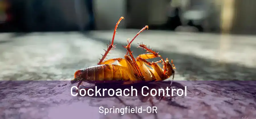 Cockroach Control Springfield-OR