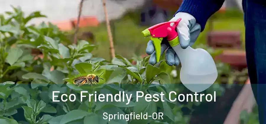 Eco Friendly Pest Control Springfield-OR