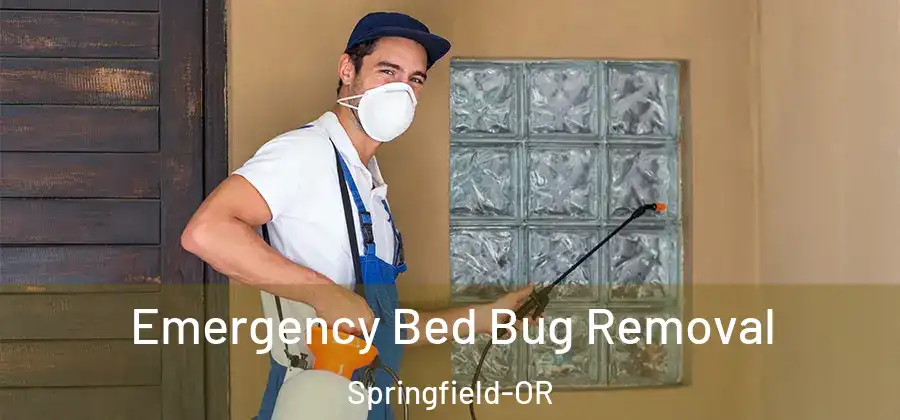 Emergency Bed Bug Removal Springfield-OR