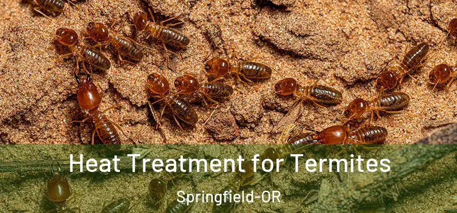 Heat Treatment for Termites Springfield-OR