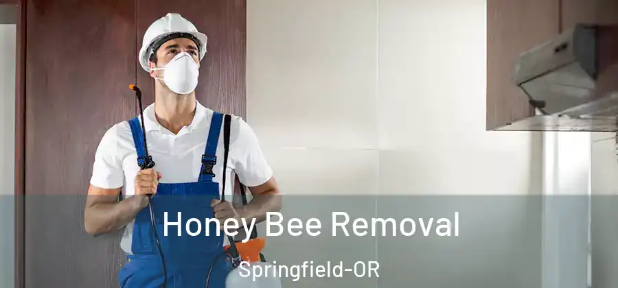 Honey Bee Removal Springfield-OR