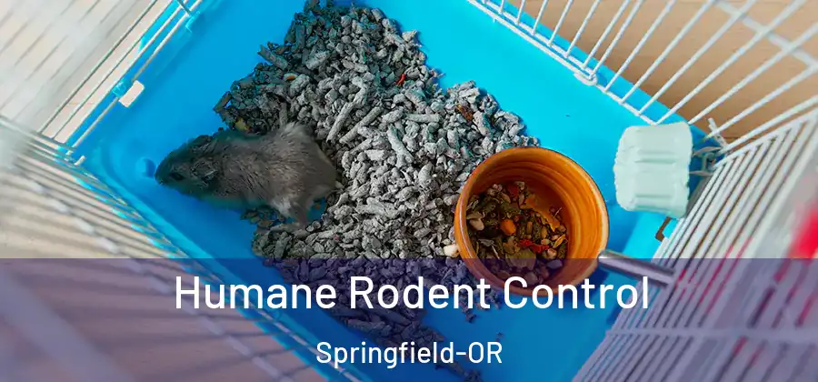 Humane Rodent Control Springfield-OR