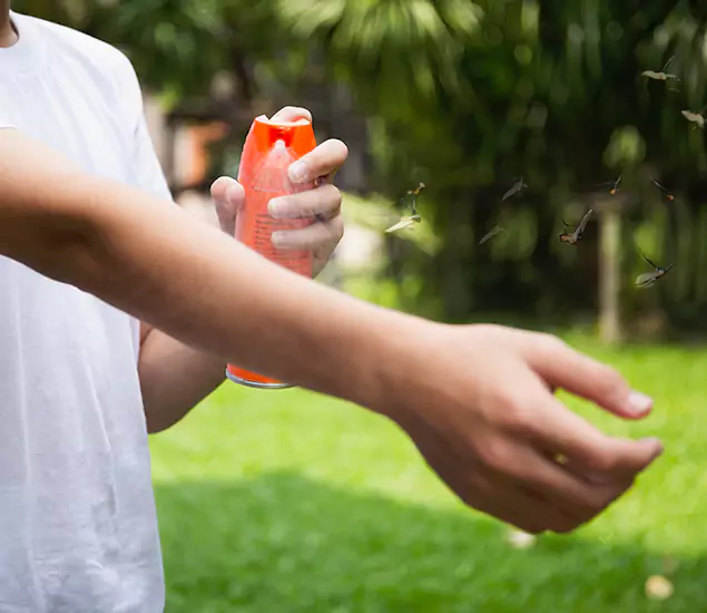 Your Best Indoor Bug Killer Team in Springfield, OR