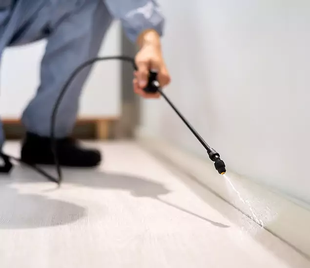 About Our Liquid Termite Treatment Experts in Springfield, OR