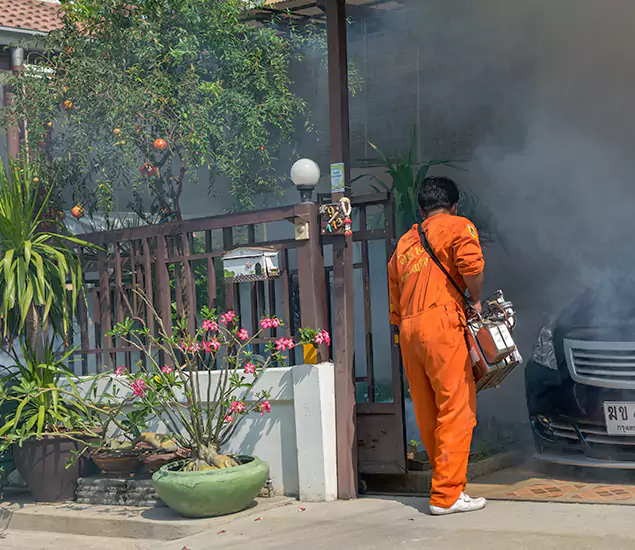 Your Proven Mosquito Fogging Company in Springfield, OR
