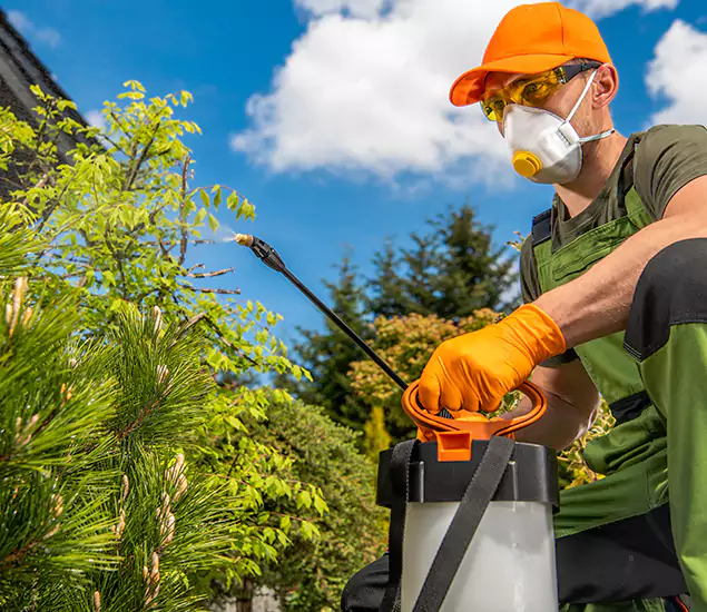 Your Best Bug Spray for Home Team in Springfield, OR