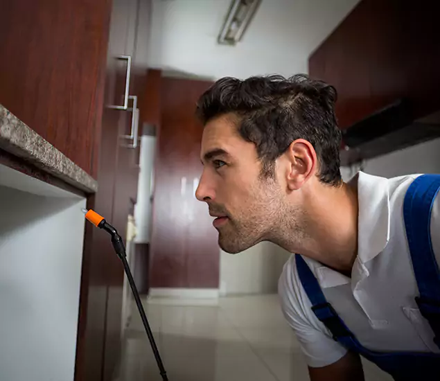 Expert Rodent in Attic Removal: Your Proven Pest Specialists in Springfield, OR