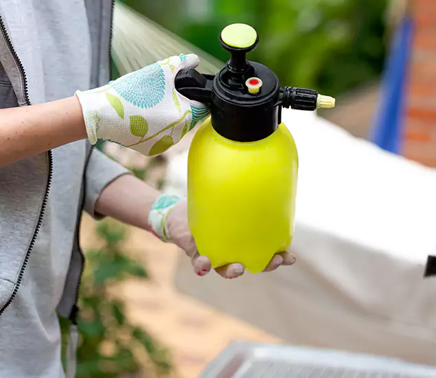 Skilled Residential Small Black Ant Service in Springfield, OR
