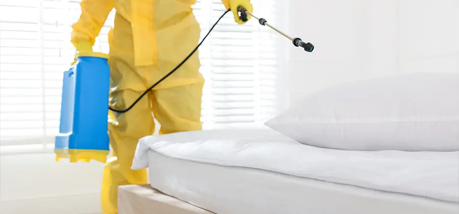 Targeted Chemical Application in Springfield