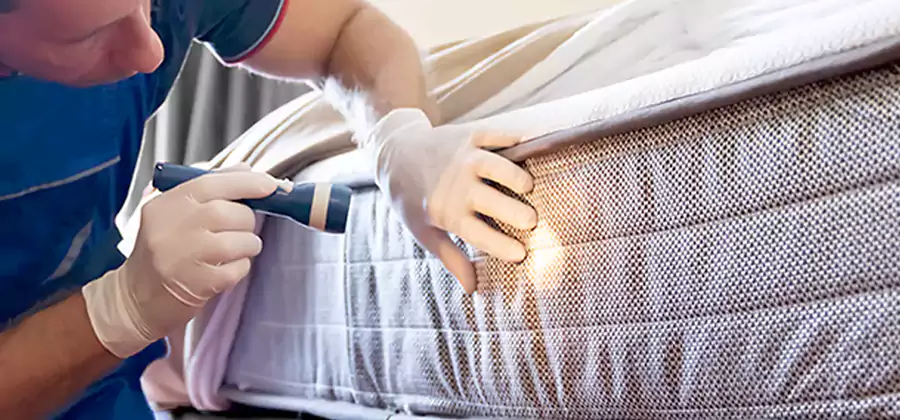 Residential Bed Bug Treatment Cost in Springfield