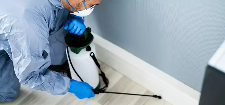 Fumigate Apartment Roaches in Springfield