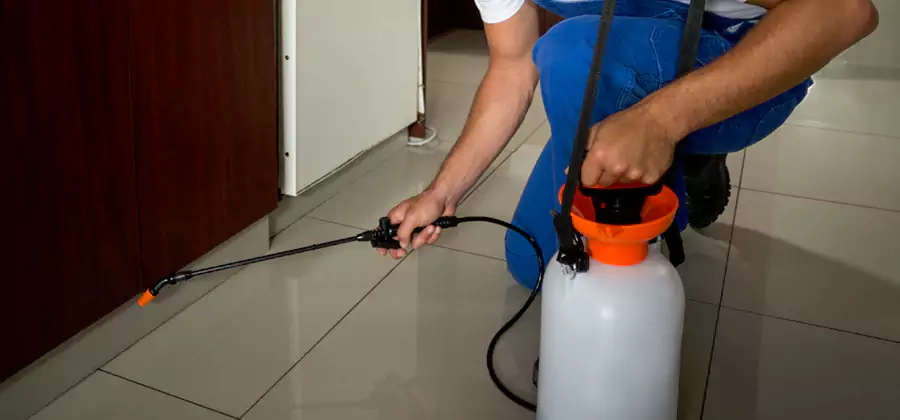 Indoor Mosquito Treatment in Springfield