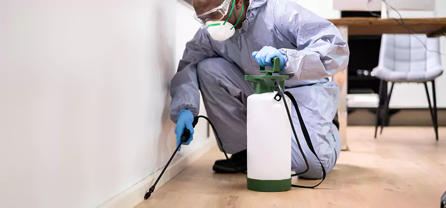 Long Lasting Mosquito Treatment in Springfield