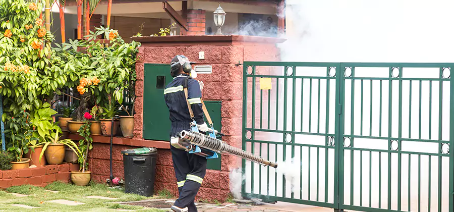 Backyard Mosquito Foggers Service in Springfield
