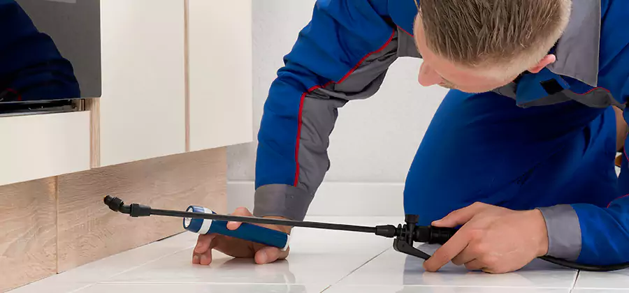 Moisture Treatment For Termite Control Service in Springfield