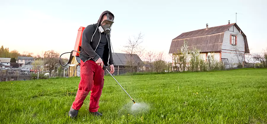 Flea and Tick Pest Control in Springfield