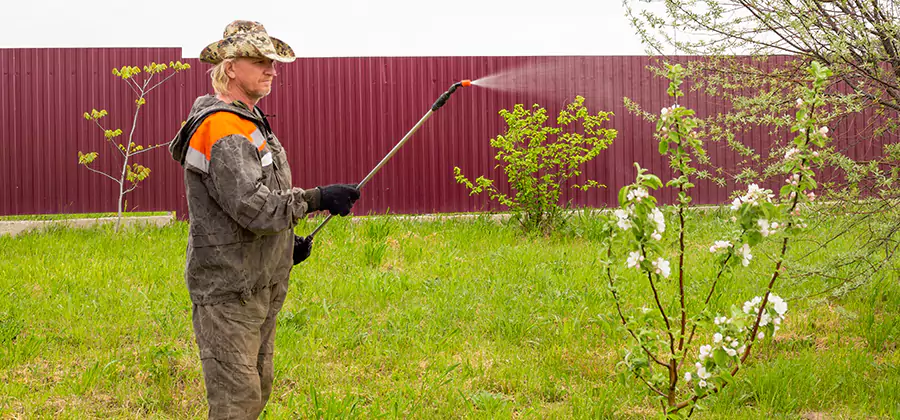 Flea and Tick Spray for Yard in Springfield