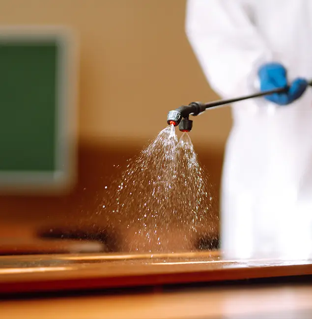 Why Choose Springfield MA Pest Control Pros for Bed Bug Chemical Treatment in Springfield, OR?