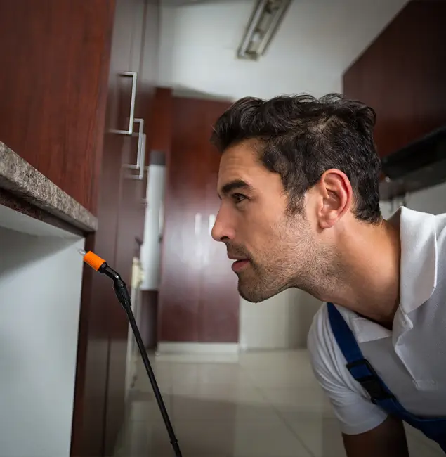 Why Choose Springfield MA Pest Control Pros for Bed Bug Removal Cost in Springfield, OR?