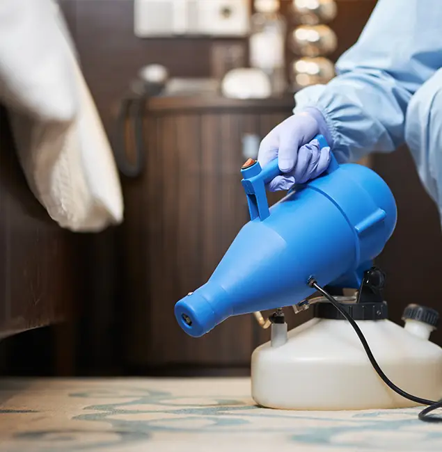 Why Choose Springfield MA Pest Control Pros in Springfield, OR?
