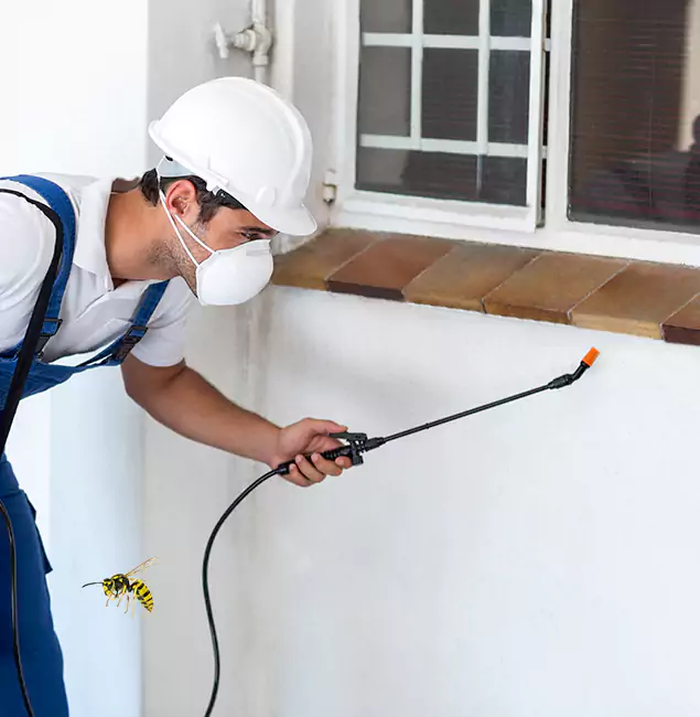 Why Springfield Property Owners Choose Springfield MA Pest Control Pros for Bee Nest Removal?