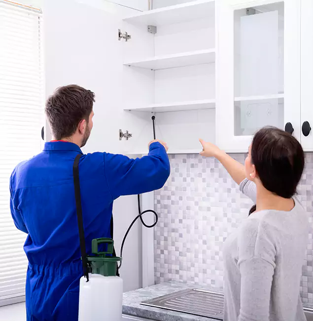 Why Choose Springfield MA Pest Control Pros for Exterminator Services in Springfield, OR?