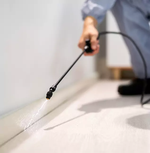 Why Choose Springfield MA Pest Control Pros for Termite Treatment in Springfield, OR?