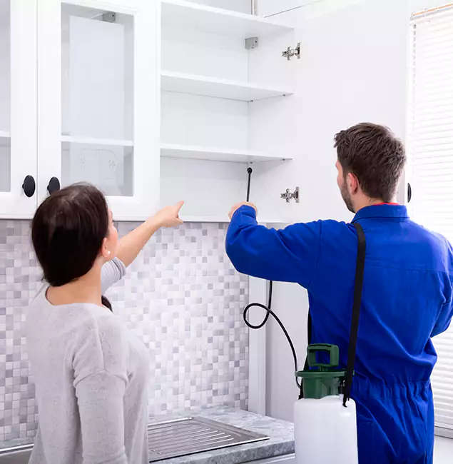 Why Springfield Property Owners Choose Springfield MA Pest Control Pros for Ground Bee Removal?