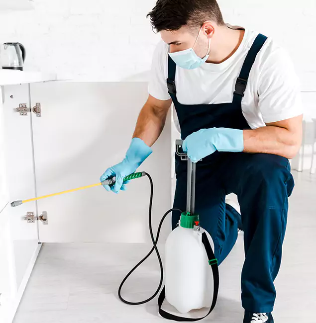 Why Choose Springfield MA Pest Control Pros for Indoor Pest Control in Springfield, OR?