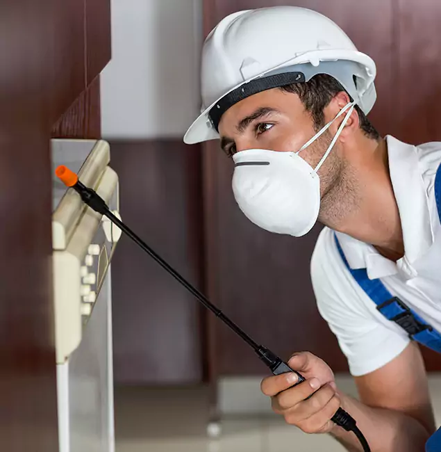 Why Springfield Homeowners Rely on Springfield MA Pest Control Pros for Tick Treatment?
