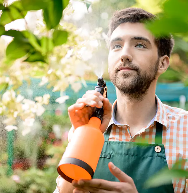 Why Springfield MA Pest Control Pros Is the Best Mosquito Control Company in Springfield, OR?