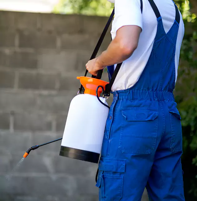 Why Springfield MA Pest Control Pros Delivers the Best Mosquito Control in Springfield, OR?