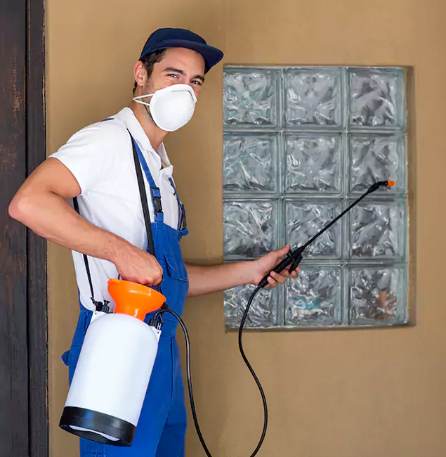 Why Springfield MA Pest Control Pros Provides the Best Mosquito Control for Yard Properties in Springfield, OR?