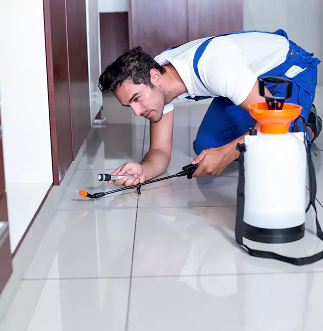 Why Springfield MA Pest Control Pros Is the Proven Choice in Springfield, OR?