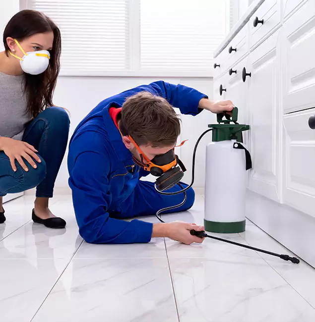 Why Choose Springfield MA Pest Control Pros in Springfield, OR?