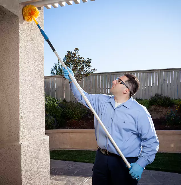 Why Choose Springfield MA Pest Control Pros for Pest Control Services in Springfield, OR?