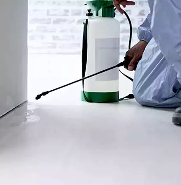 Why Choose Springfield MA Pest Control Pros for Rat Exterminator in Springfield, OR?
