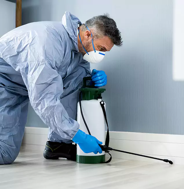Why Choose Springfield MA Pest Control Pros for Subterranean Termites Treatment in Springfield, OR?
