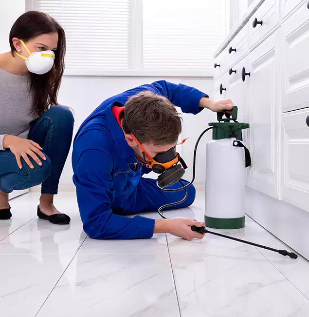 Why Choose Springfield MA Pest Control Pros for Termite Inspection Cost in Springfield, OR?