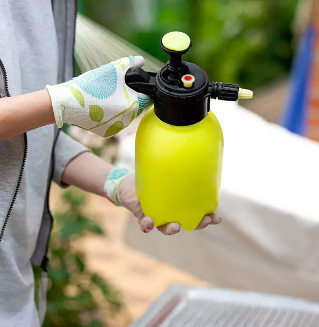 Why Choose Us: Springfield MA Pest Control Pros Termite Spraying Experts in Springfield, OR?