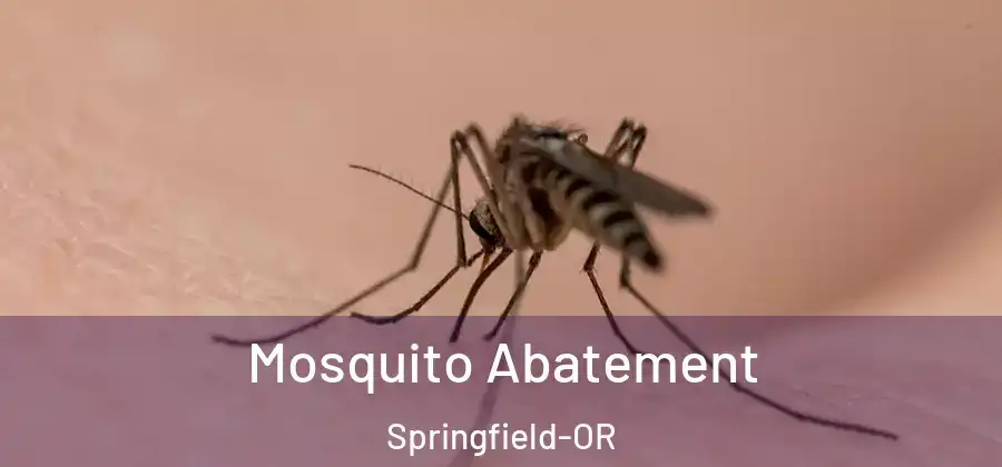 Mosquito Abatement Springfield-OR