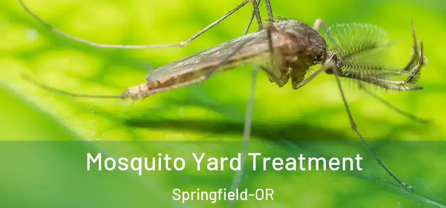 Mosquito Yard Treatment Springfield-OR